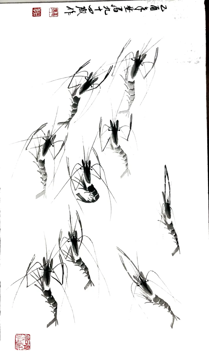 Swimming Shrimp — ink on paper